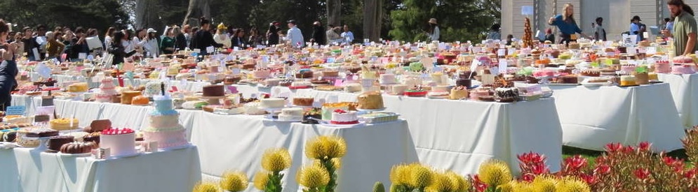 Picnic tables holding many cakes